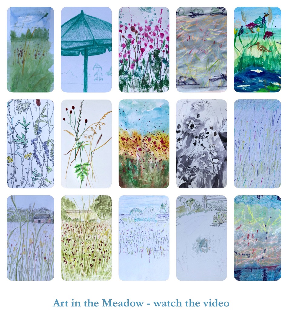 Art in the the meadow